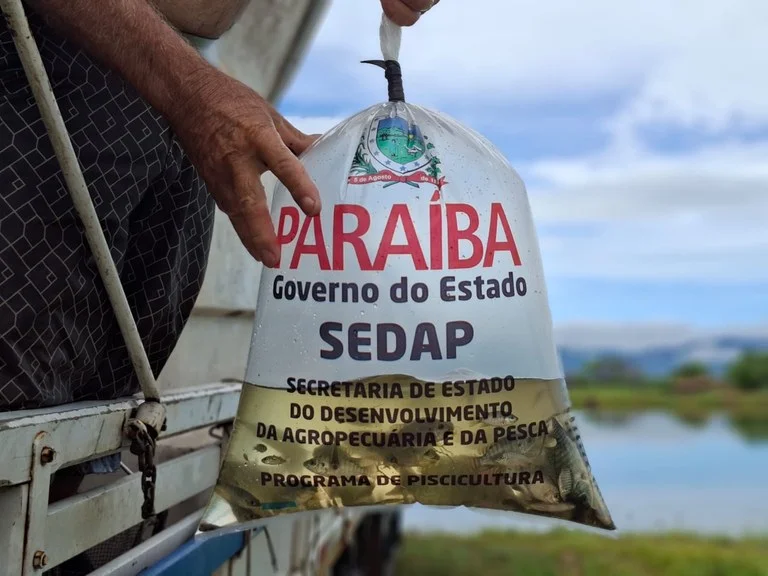 Com açudes recuperados, Sertão da Paraíba recebe 120 mil alevinos nesta sexta-feira (12)
