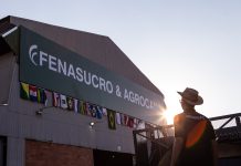 Gigante da bioenergia: expande participação internacional e projeta edição histórica em 2026