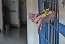 Crime organizado: do domínio de territórios à criminalidade empresarial