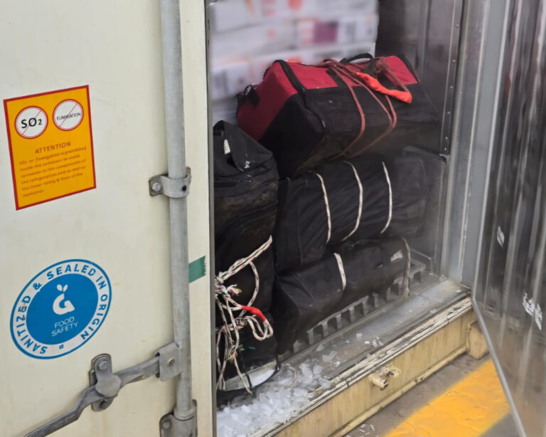 Cerca de 108 kg de cocaína são encontrados dentro de mochilas esportivas em navio no Porto de Santos