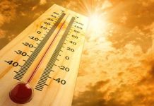 Onda de calor extrema na Europa deixa mortos na França e leva países a adotarem medidas emergenciais