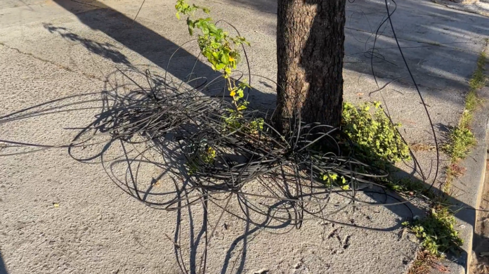 Caminhão guincho derruba fiação e motociclista fica ferido após ser atingido por cabos Caminhão guincho derruba fiação e motociclista fica ferido após ser atingido por cabos