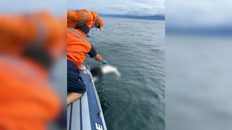 Corpo é encontrado no mar durante buscas por homem desaparecido após passeio de moto aquática em Ilhabela