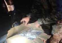 Carga com mais de 26 kg de maconha é apreendida durante fiscalização da PRF na BR-101