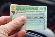 Nova lei garante renovação automática da CNH para motoristas sem pontos na carteira