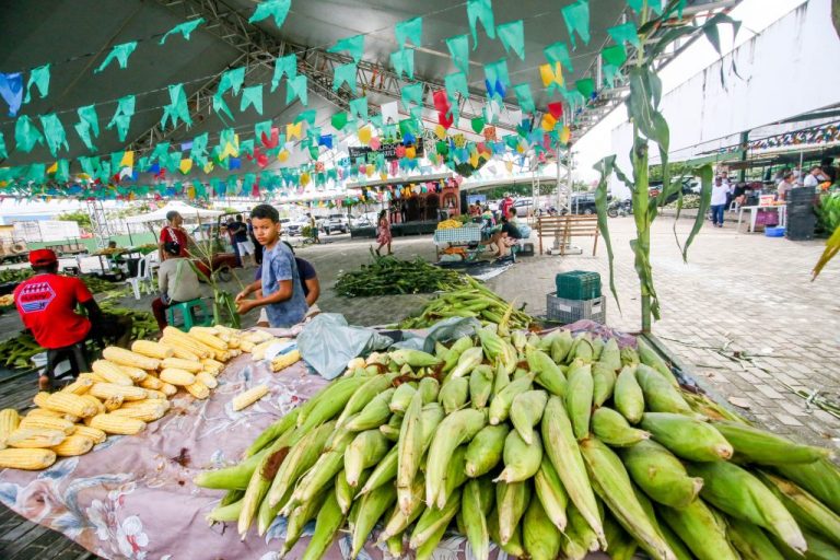 Festival do Milho tem início neste sábado (20) na Cecaf, em João Pessoa