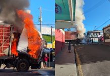 Caminhão que transportava frangos tem pane elétrica e pega fogo em Itapira