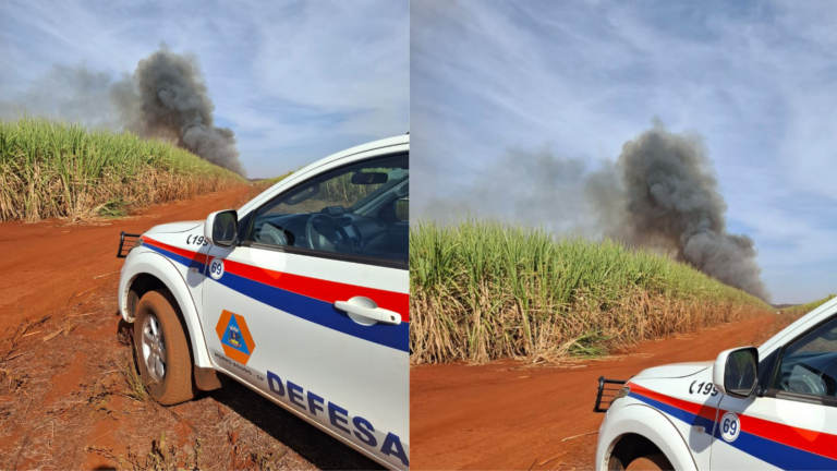 Incêndio em área de canavial atinge cerca de 30 hectares em Morro Agudo