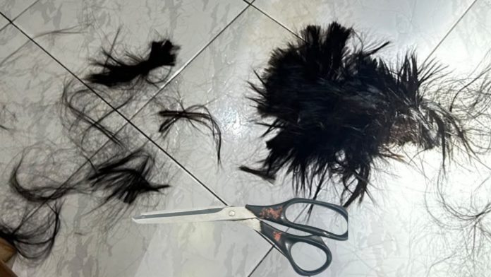 Homem corta cabelo da namorada durante discussão por ciúmes