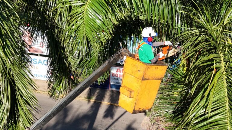 Saúde realiza ação de vigilância contra o bicho-barbeiro em Araçatuba