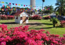 Com decoração temática na rotatória da Avenida Brasília, Araçatuba entra no clima das festas juninas