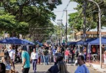 9ª edição do Viva a Nove celebra os 170 anos de Ribeirão Preto neste domingo