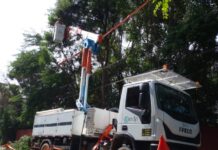 Concessionária de energia promove mutirão de poda de árvores na zona leste de São José dos Campos