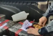 PRF apreende cerca de 250 kg de maconha após acidente na Dutra, em Caçapava