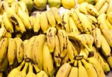 Prefeitura pretende gastar mais de R$ 13 milhões em frutas que serão distribuídas na rede municipal de ensino