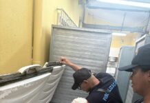 Vigilância Sanitária de Guarujá vistoria 22 padarias e emite 164 autos