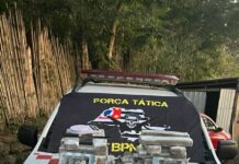 PM apreende mais de 23 kg de maconha no Banhado, em São José