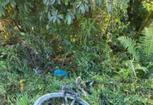 Mulher morre após ser atropelada na Rio-Santos, em São Sebastião