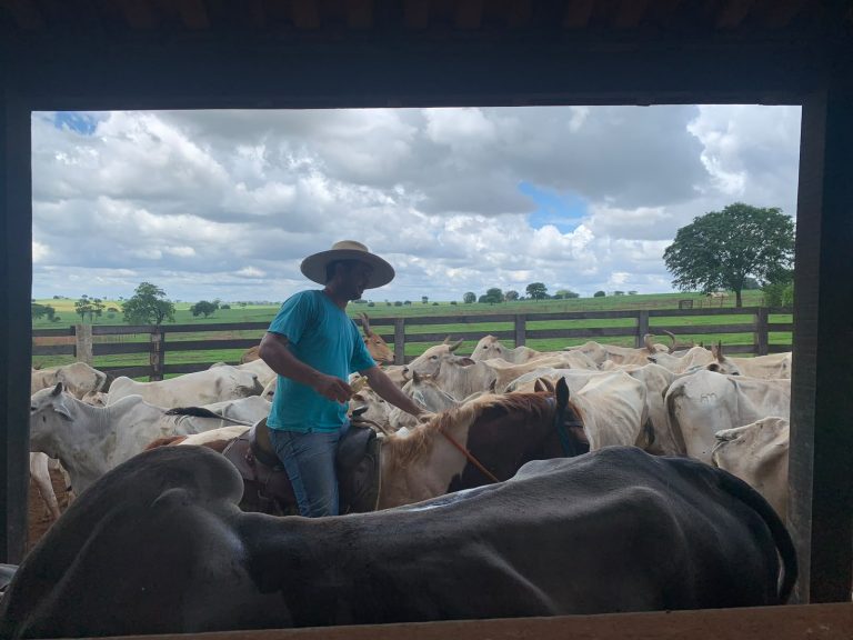No interior de SP, agronegócio impulsiona economia enquanto precariza relações de trabalho