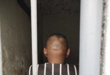 Homem é preso após furtar fios dentro de delegacia em São José