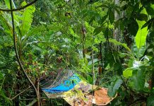 Polícia Ambiental apreende espingarda e destrói estruturas usadas para caça ilegal em parque de Caraguatatuba