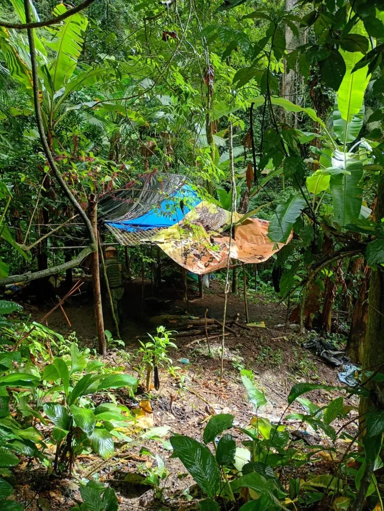 Polícia Ambiental apreende espingarda e destrói estruturas usadas para caça ilegal em parque de Caraguatatuba