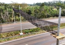 Arteris implanta primeira passagem aérea para fauna da região de Ribeirão Preto