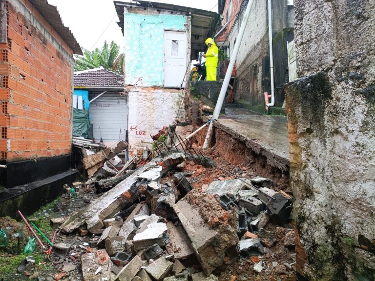 Santos registra queda de árvore e desabamento devido às fortes chuvas
