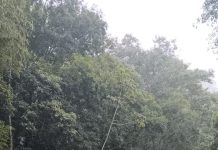 Motorista fica ferido após capotamento na Serra Antiga da Rodovia dos Tamoios, em Caraguatatuba