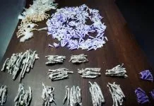 Adolescente é preso com 1.193 porções de drogas em Peruíbe