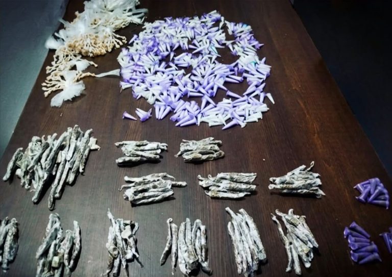 Adolescente é preso com 1.193 porções de drogas em Peruíbe