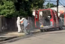 Homem morre após ser atacado por enxame de abelhas em Guarujá; VÍDEO