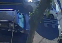 Idosa é atropelada por carro, sofre lesões e condutor foge sem prestar socorro em Santos; VÍDEO