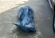 Corpo de vítima de afogamento que estava desaparecido é encontrado no mar em Guarujá