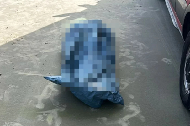 afogamento enseada guaruja