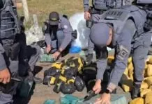 28 toneladas de carne devem ser destruídas após apreensão de 500 kg de drogas em meio à carga