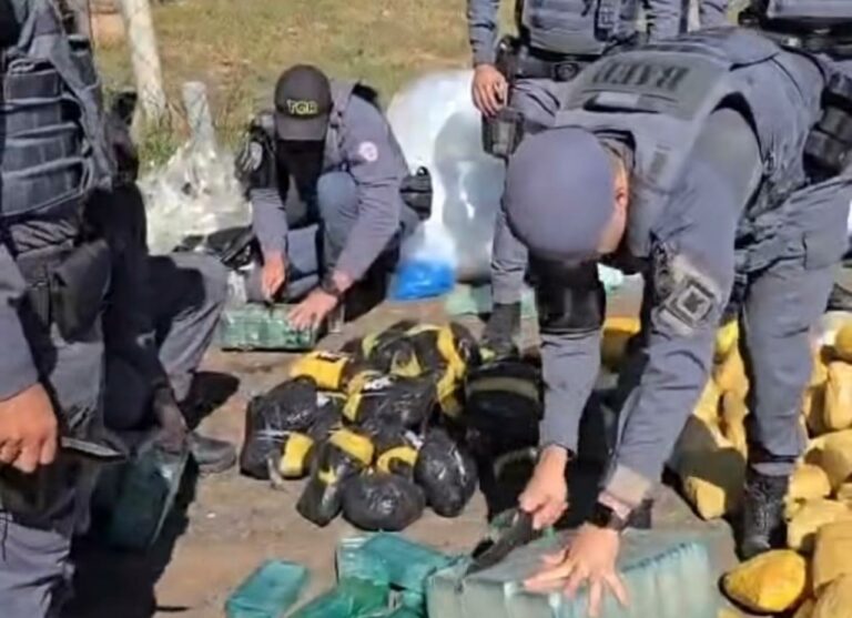 28 toneladas de carne devem ser destruídas após apreensão de 500 kg de drogas em meio à carga