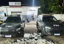 Quatro pessoas são presas com 23 kg de skunk em abordagem da PRF na Paraíba