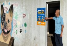 Banco de Ração busca doações para ampliar apoio a protetores e famílias de Prudente