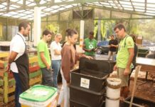 Parques municipais de Santos têm programação gratuita