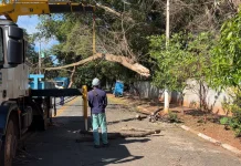 Queda de galho ao lado de escola atinge fiação e deixa poste com risco de queda em Barão Geraldo