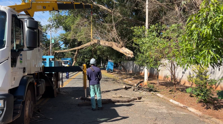 Queda de galho ao lado de escola atinge fiação e deixa poste com risco de queda em Barão Geraldo