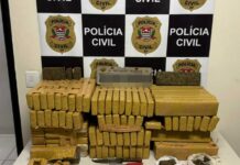Polícia Civil desmantela “casa bomba” e apreende 120 quilos de maconha