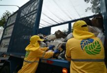 Coleta seletiva chega à Área Continental nesta quarta-feira, em Santos