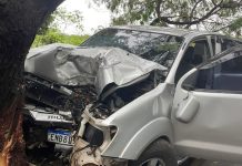 Homem morre após colidir caminhonete contra árvore