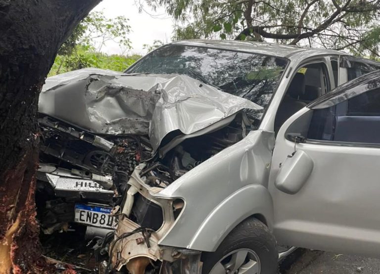 Homem morre após colidir caminhonete contra árvore