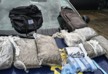 Homem é detido com cerca de 7 kg de drogas após cair em córrego durante fuga em Bertioga