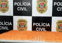 Casal é preso com mais de 1.300 porções de cocaína na saída da balsa em Bertioga