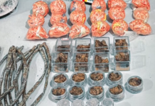 Operação policial apreende grande quantidade de drogas e prende suspeito no Perequê em Guarujá; VÍDEO