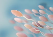 Espermograma pode indicar problemas de saúde além da fertilidade; entenda os limites